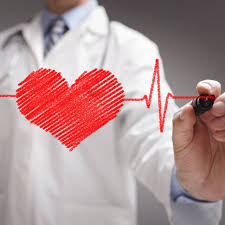 قلب چیست تعریف قلب ساختار قلب تحقیق درباره ی قلب وظیفه قلب چیست تحقیق کوتاه در مورد قلب انسان فیزیولوژی قلب تحقیق دانش آموزی درباره قلب